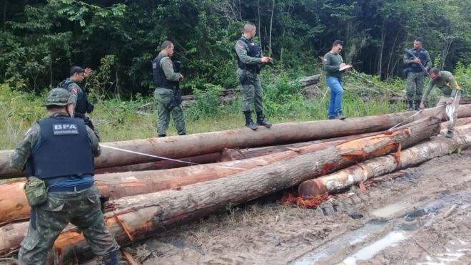 Madeira de desmatamento apreendida em operação no Pará: 65 km² de mata foram devastados no estado entre 1º de fevereiro e 26 de março deste ano.