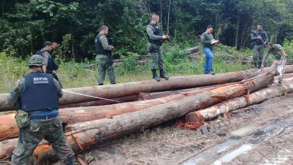 Desmatamento volta a crescer na Amazônia e já é quase o dobro do ano anterior Madeira de desmatamento apreendida em operação no Pará: 65 km² de mata foram devastados no estado entre 1º de fevereiro e 26 de março deste ano.