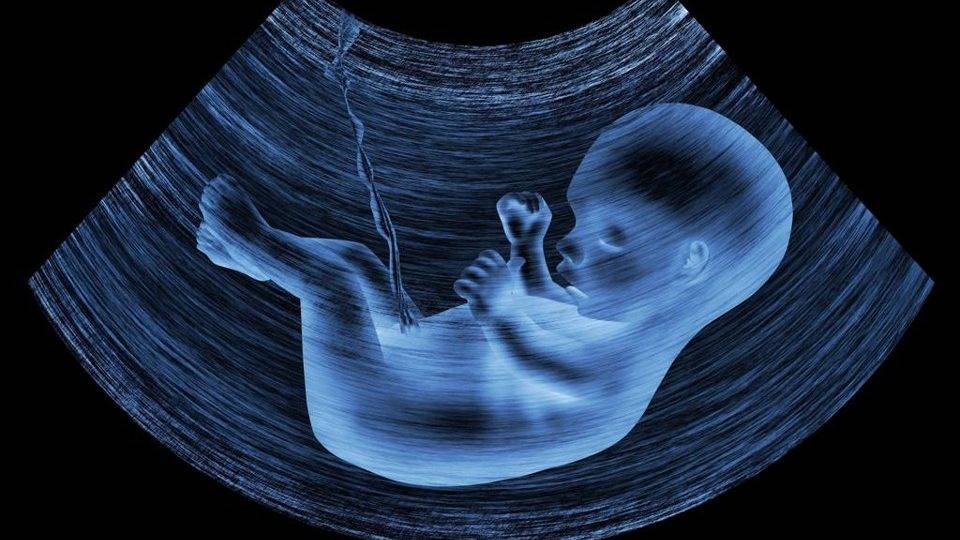 Marcha Nacional pela Vida será virtual neste ano devido à pandemia Marcha Nacional pela Vida será virtual neste ano devido à pandemia