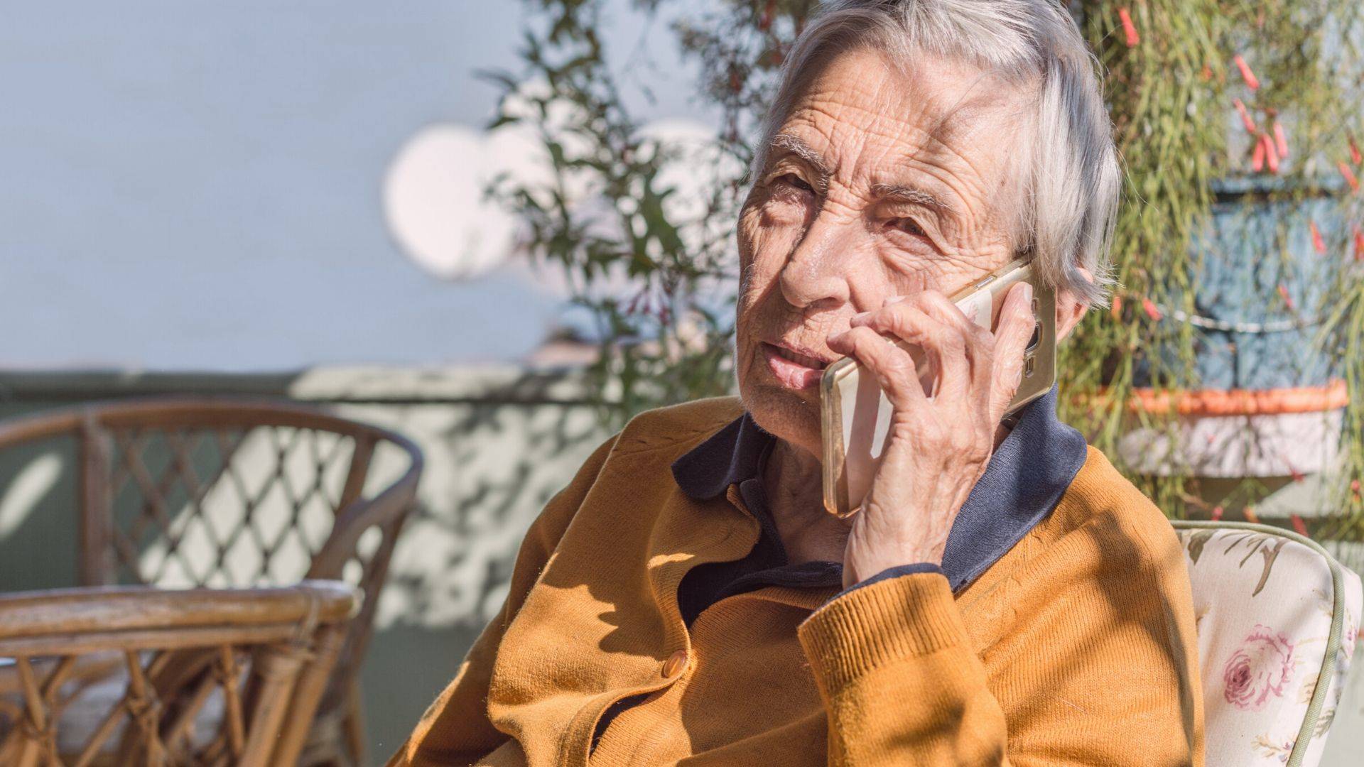 Imagem referente a matéria