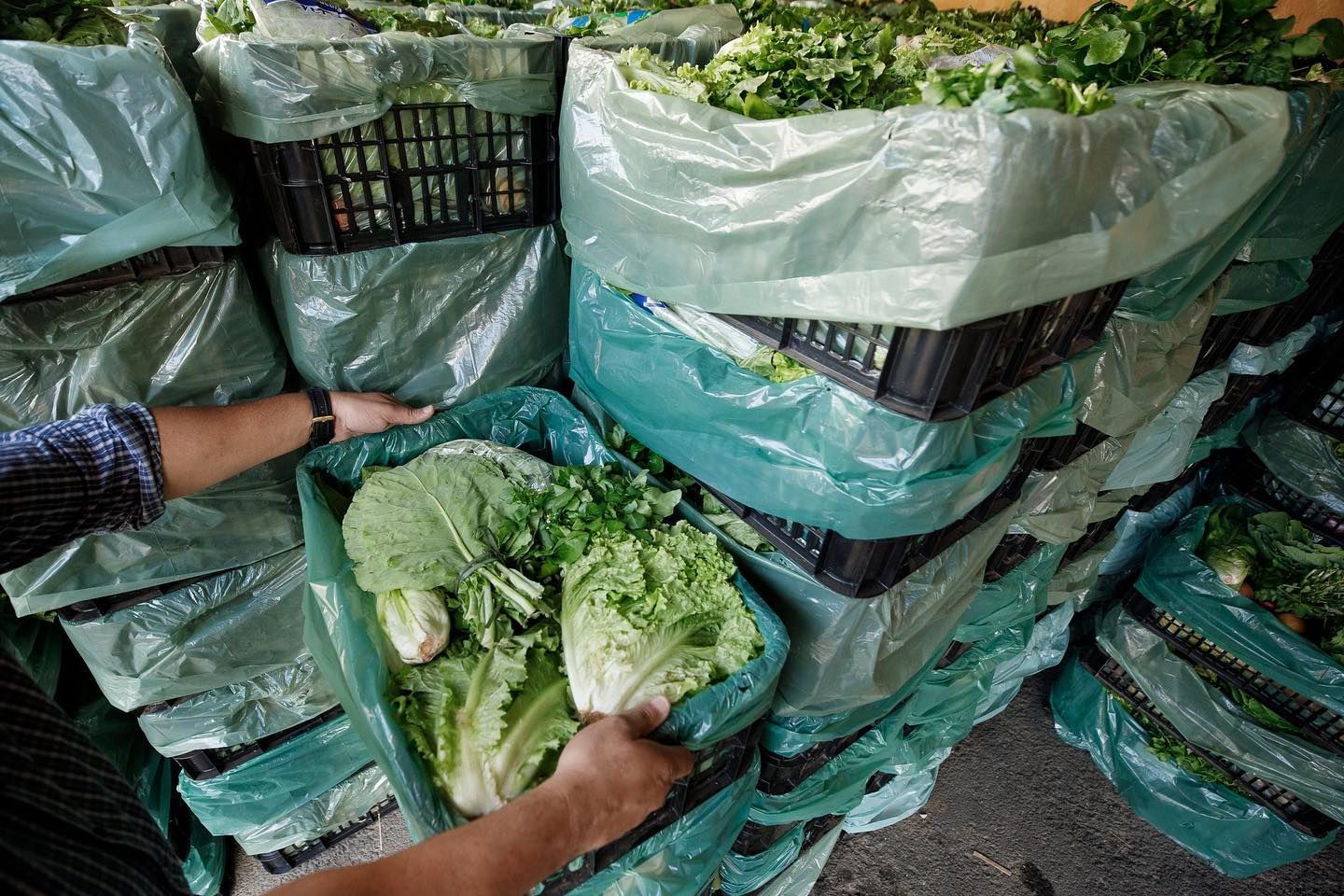 Cesta de produtos naturais de agricultores do Cinturão Verde. Foto: Reprodução/Facebook Cesta de produtos naturais de agricultores do Cinturão Verde. Foto: Reprodução/Facebook
