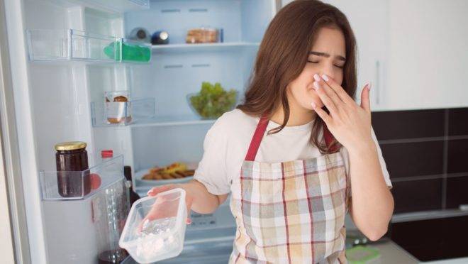 Alimentos contêm organismos patogênicos que podem, ou não, causar odores fortes