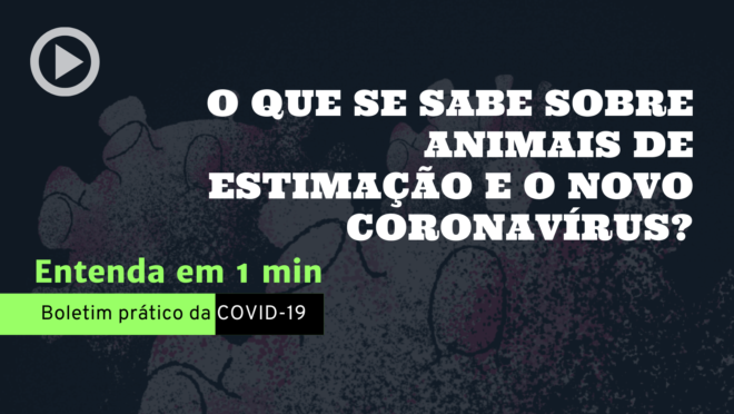 Animais de estimação e o novo coronavírus: o que se sabe até agora. A recomendação é manter as mesmas restrições feitas a humanos, limitando as saídas.