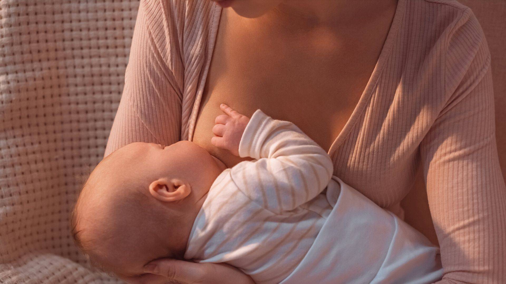 Apesar de os laboratórios fabricarem produtos seguros, apenas o leite materno oferece os anticorpos necessários para a criança