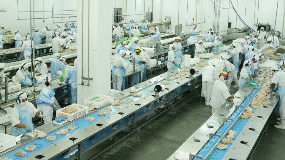 Exportações de carne suína e de frangos devem manter alta em 2021 Mesmo com a crise da Covid-19, exportações de carne de frango tiveram alta em 2020