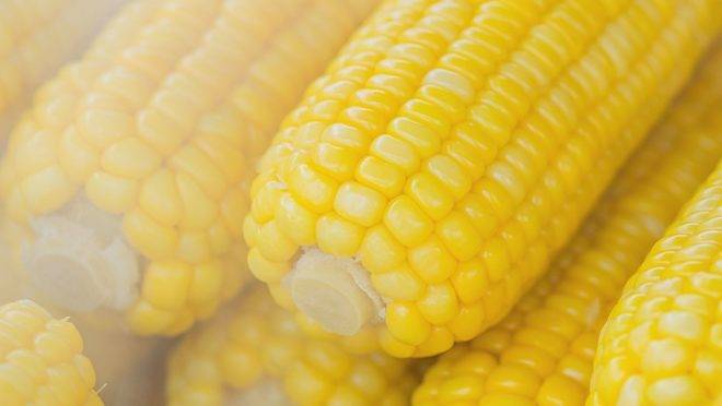 Carboidratos não são só pães, massas e bolos, mas também a lentilha, feijão e grão-de-bico