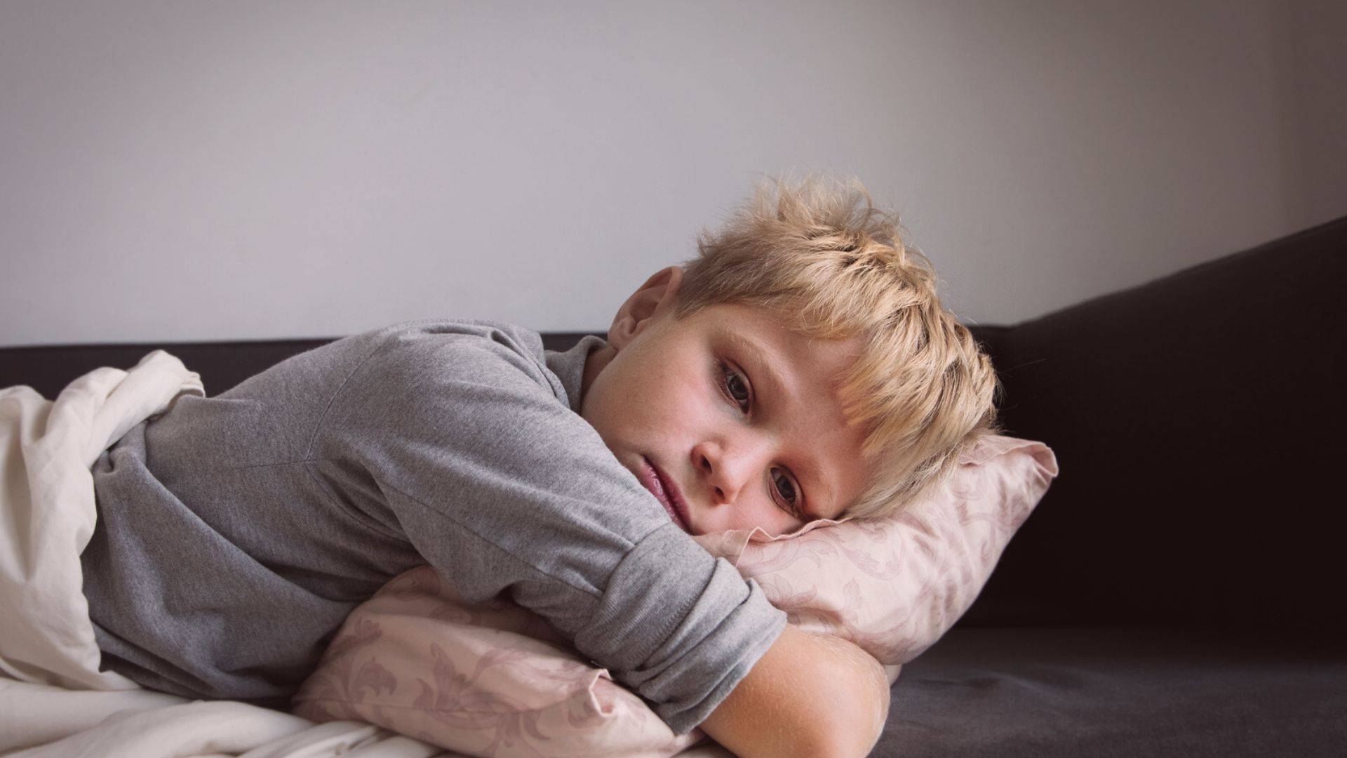 Verminoses são comuns, atingem qualquer classe social e a quantidade de informações equivocadas a respeito delas é grande