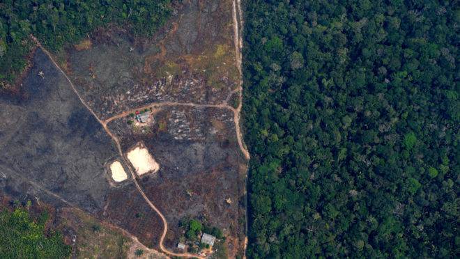 Imagem de área desmatada em Rondônia, em agosto de 2019. Imagem de área desmatada em Rondônia, em agosto de 2019.