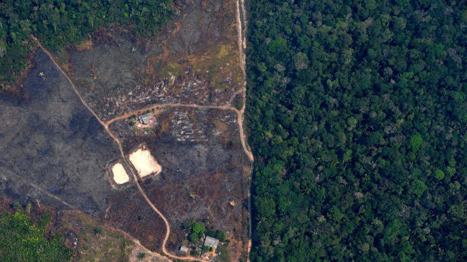 Venda de tratores de esteira, usados em desmatamento, bate recorde em 2020 Imagem de área desmatada em Rondônia, em agosto de 2019.