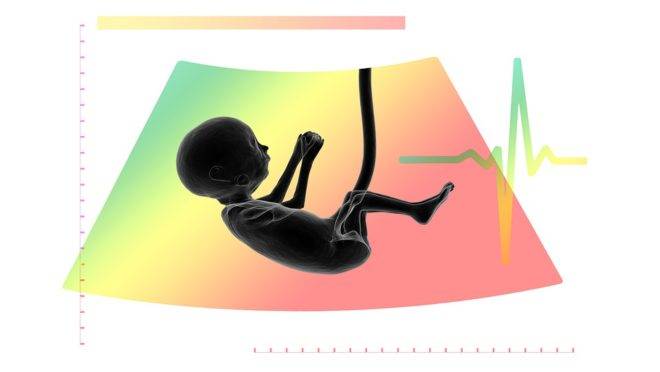 Defensoria Pública tem atuações questionáveis em questões como aborto, família e drogas