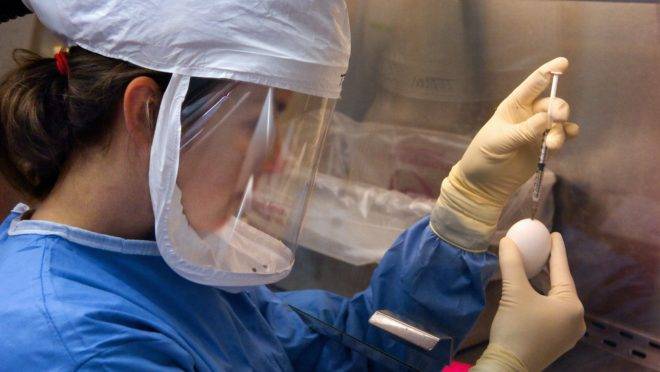 A base de dados global visa reunir informações que ajudem no desenvolvimento de vacinas, testes, medicamentos e outras inovações no combate ao novo coronavírus.