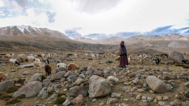 Pastora nômade Changpa na vila de Korzok, distrito de Ladakh, em foto de agosto de 2019. Autoridades da Índia disseram que centenas de tropas chinesas foram mobilizadas para a zona em disputa na fronteira entre os países