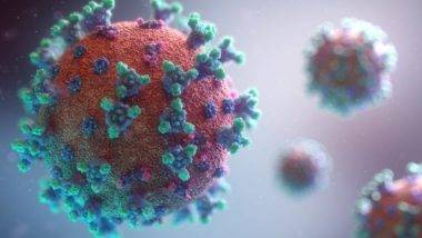 Covid-19: Brasil registra mais de 34 mil casos e 1.022 mortes em 24 horas Atualização dos dados sobre a Covid-19 no Brasil.