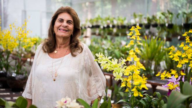 Batizada carinhosamente de “rainhas das orquídeas”, Rosita Beltrão Almeida Rischbieter abriu recentemente a Orquidaria Rosita para dividir com as pessoas sua coleção de orquídeas de mais de 18 anos.