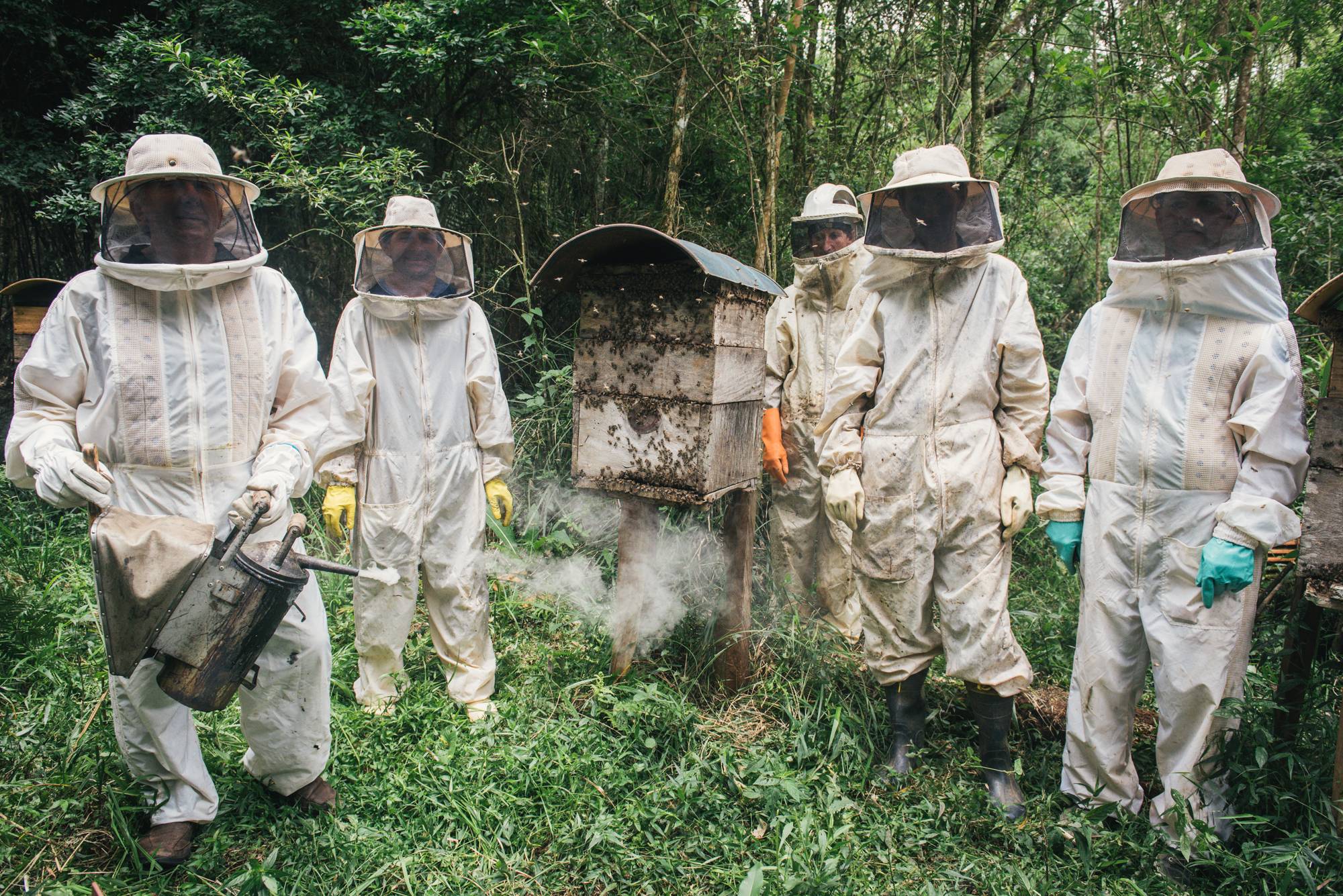 Apicultores fazem coleta de mel para a indústria Breyer, de União da Vitória