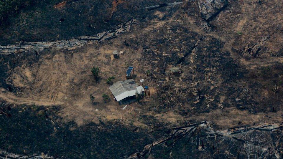 Commodities e desmatamento: como o Reino Unido pretende virar esse jogo para o Brasil? Desmatamento da Amazônia