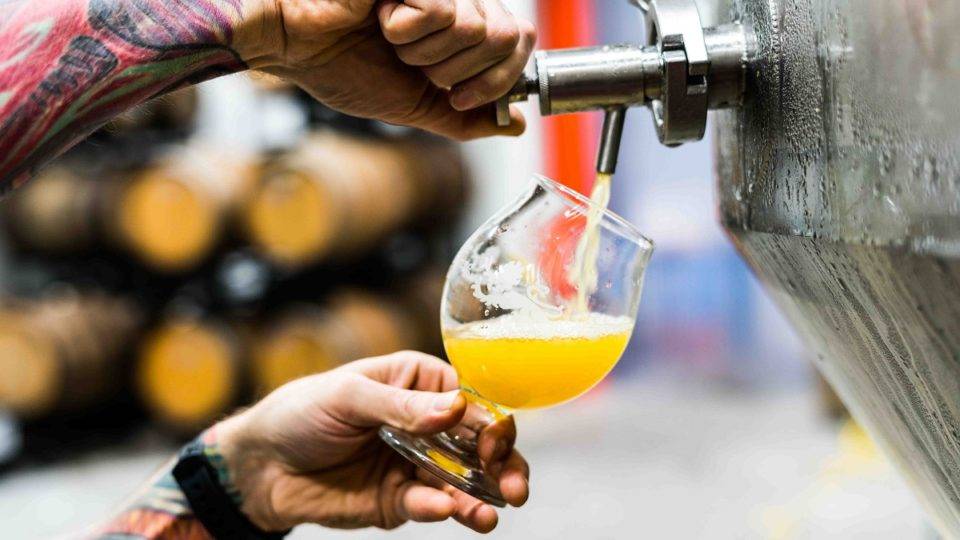 Metade das microcervejarias do Paraná corre o risco de fechar até o fim do ano Produção de cerveja