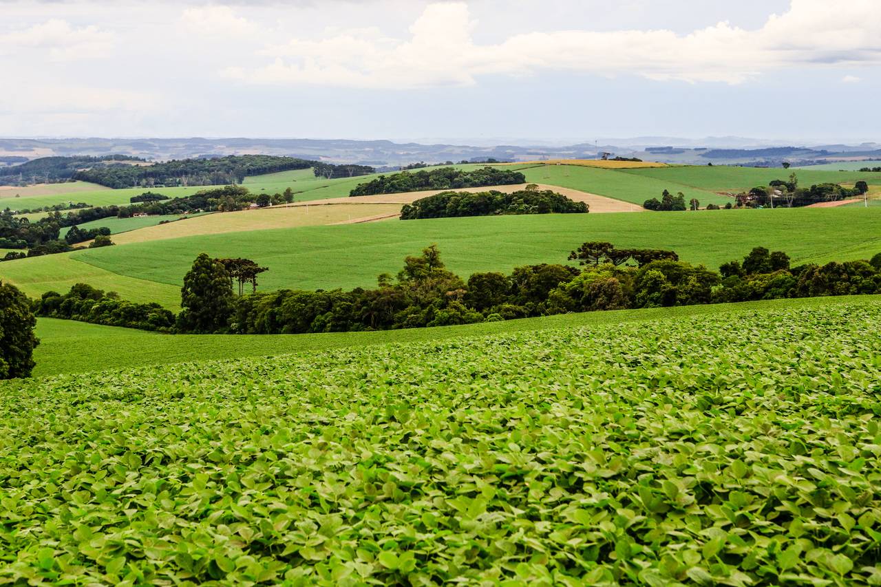 Agronegócio teve produção recorde no Brasil