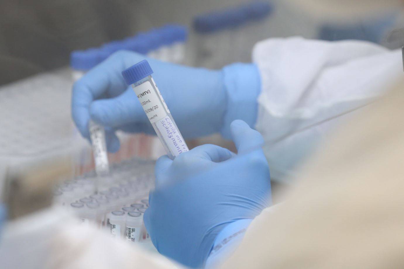 Testes de coronavírus Foto: Geraldo Bubniak/AEN