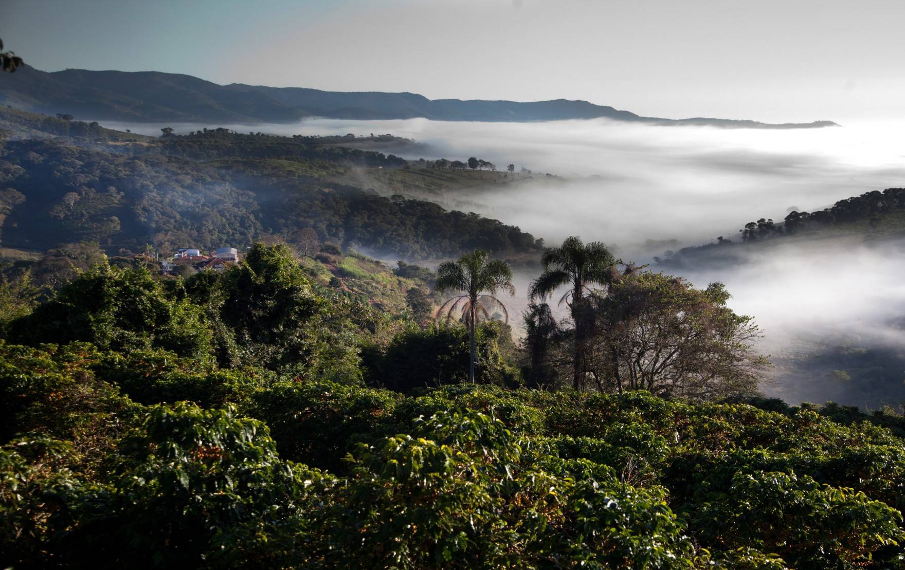 A regão de Mantiqueira de Minas é montanhosa. Foto: Divulgação/Mantiqueira de Minas A regão de Mantiqueira de Minas é montanhosa. Foto: Divulgação/Mantiqueira de Minas