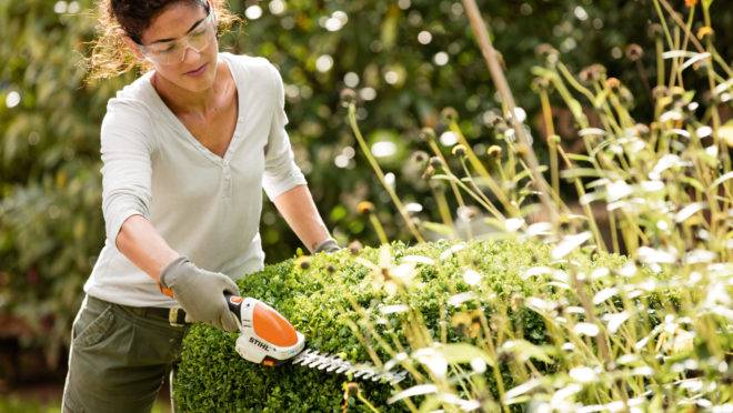 Plataforma Pró Jardim, da Stihl terá módulos sobre jardinagem para capacitar profissionais e apaixonados por plantas.
