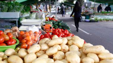 Feira livre em Curitiba
