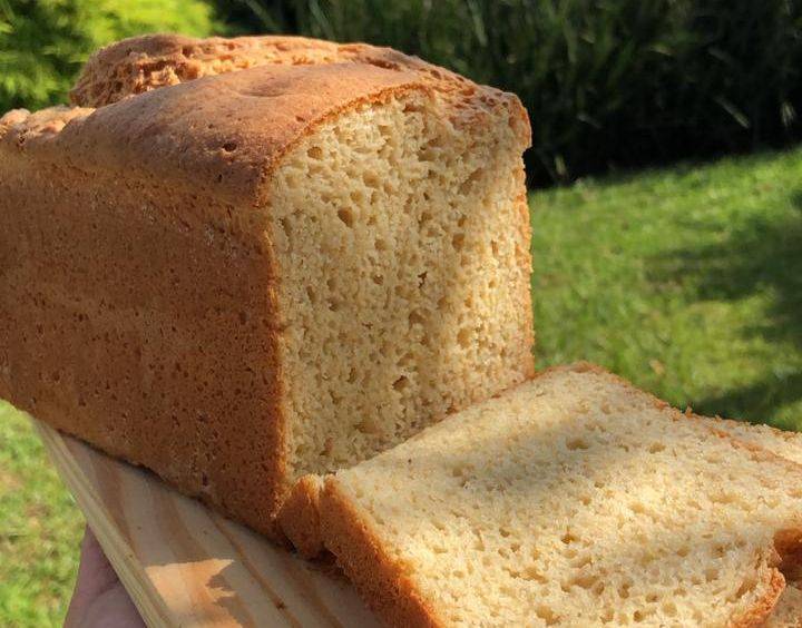 Pão de fatia da chef Patrícia Araújo, que ministra um curso de panificação sem glúten no Centro Europeu. Foto: Divulgação Pão de fatia da chef Patrícia Araújo, que ministra um curso de panificação sem glúten no Centro Europeu. Foto: Divulgação