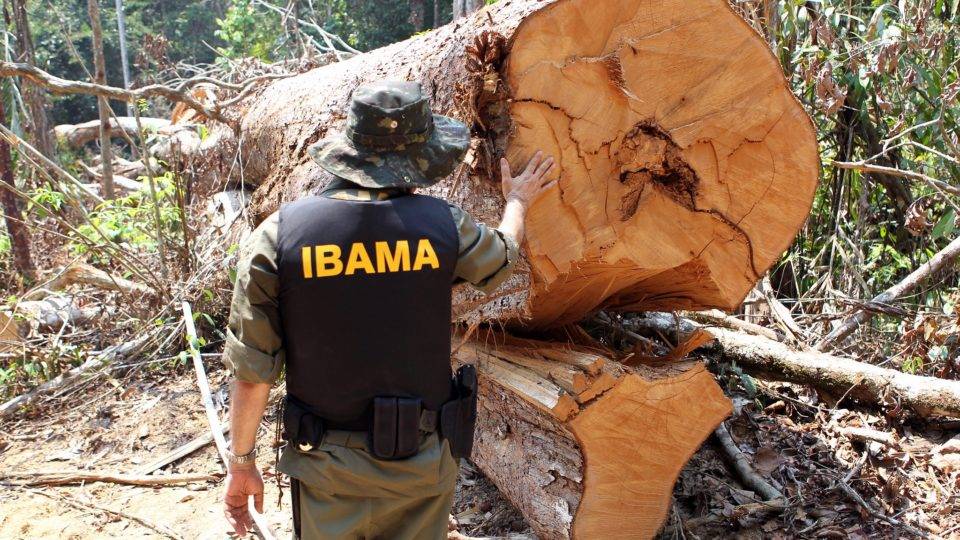 Governo não usa recursos do Fundo Amazônia para combater desmatamento e queimadas na floresta amazônica há pelo dois anos.
