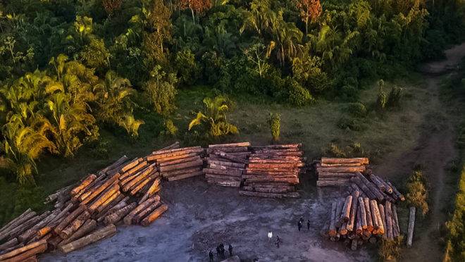 Desmatamento na Amazônia cresce em 2020 em relação a 2019