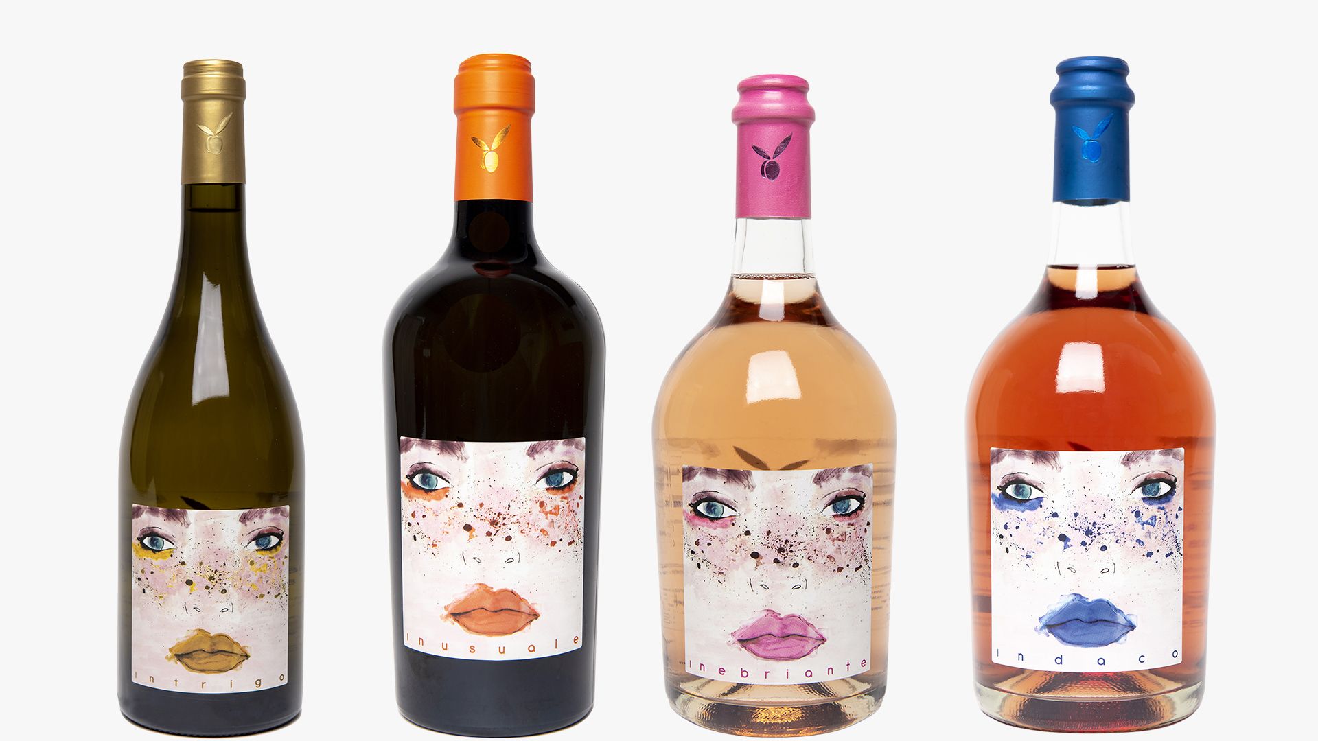 MMV Importadora explica a importância das embalagens e dos rótulos dos vinhos