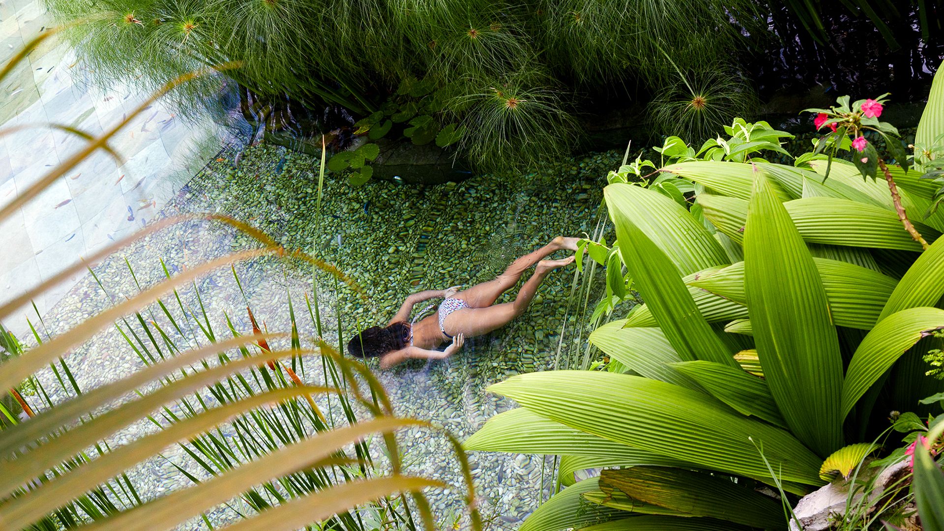 Piscina Natural Acer Haus