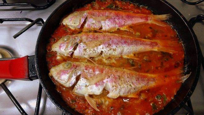 Trilhas ao ragu de tomates prontas para serem servidas. Prato rápido, saboroso e muito barato.
