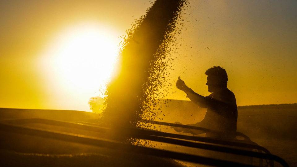 Como os “embaixadores” do agronegócio podem turbinar as exportações paranaenses Metade da próxima safra de grãos do Brasil, que ainda nem foi plantada, já está vendida: e como fica o boicote?