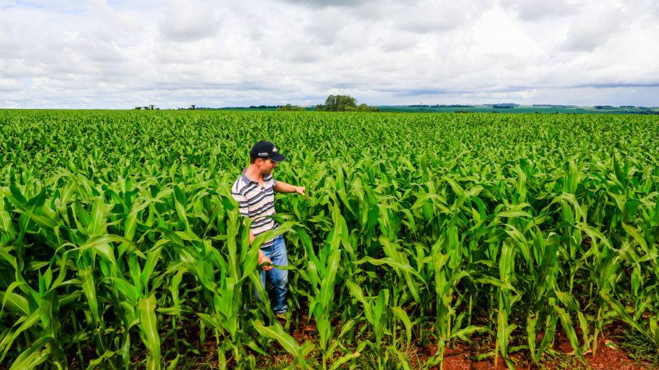 28 de julho é o dia do agricultor.