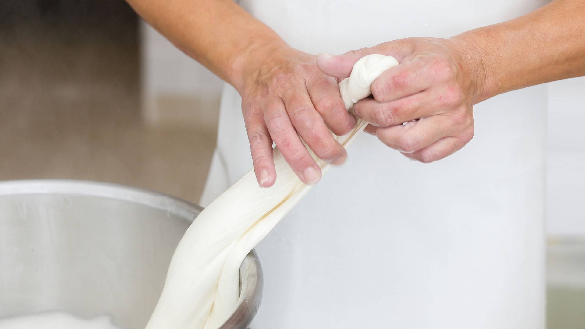 Produção de queijos na Mozzarellart segue tradição italiana. Produção de queijos na Mozzarellart segue tradição italiana.