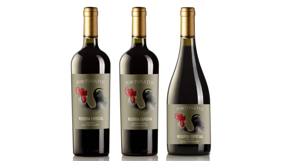 Vinhos Bodegon Fortunatus Reserva Especial