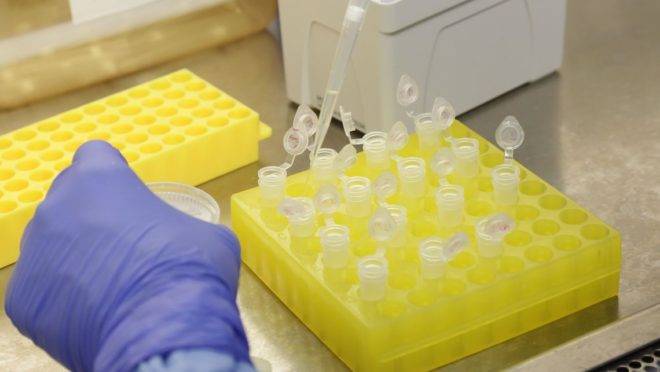 Diagnostico laboratorial de casos suspeitos do novo coronavirus (2019-nCoV), realizado pelo Laboratorio de Virus Respiratorio e do Sarampo do Instituto Oswaldo Cruz (IOC/Fiocruz), que atua como Centro de Referencia Nacional em Virus Respirator