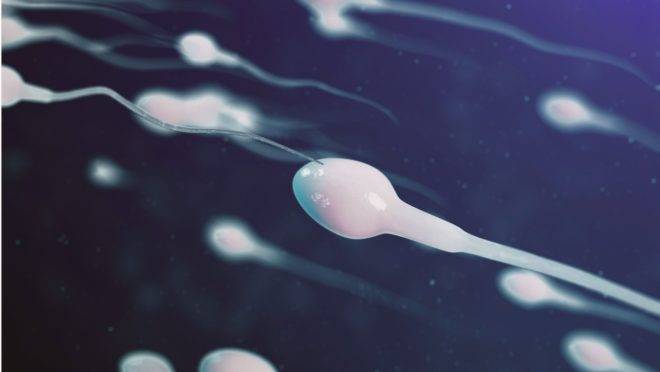 Por centenas de anos acreditava-se que espermatozoides se movessem como cobras ou enguias na água. O movimento, porém, é diferente