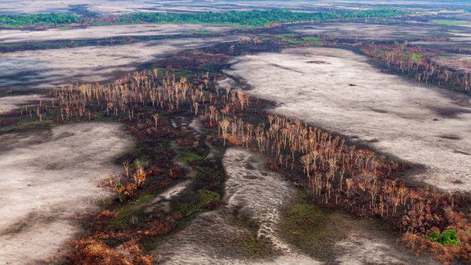 Ministério do Meio Ambiente deseja se comprometer a conservar 390 mil hectares de floresta nativa na Amazônia, área menor do que 0,1% da Amazônia Legal. Ministério do Meio Ambiente deseja se comprometer a conservar 390 mil hectares de floresta nativa na Amazônia, área menor do que 0,1% da Amazônia Legal.