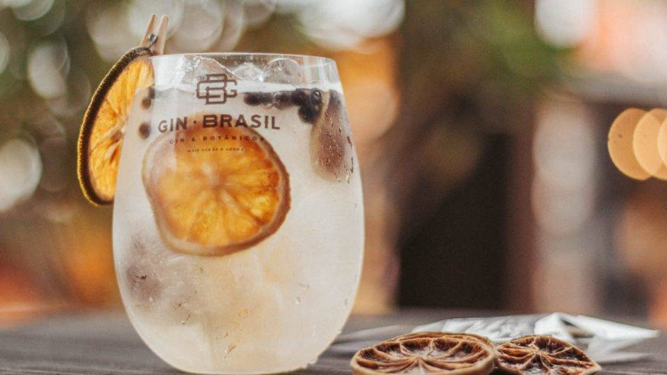 Gim preparado com botânico de laranja desidratada, limão e zimbro.