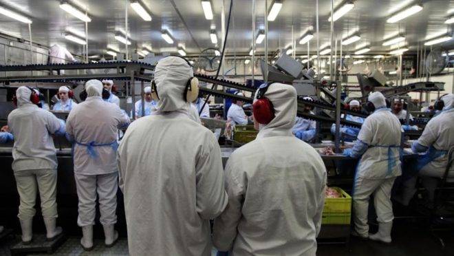 Paraná responde por 40% das exportações do frango brasileiro