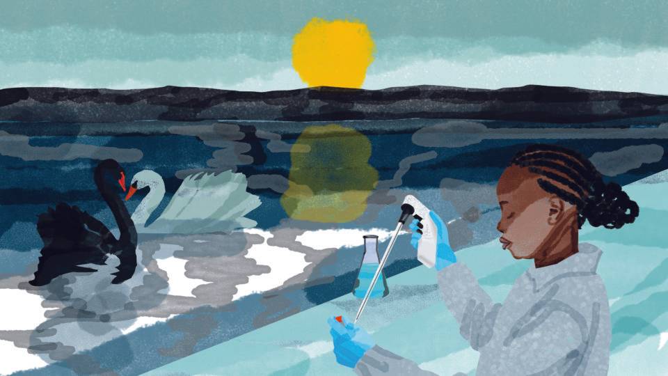O cisne negro do conhecimento: como a força da ciência parece sua fraqueza