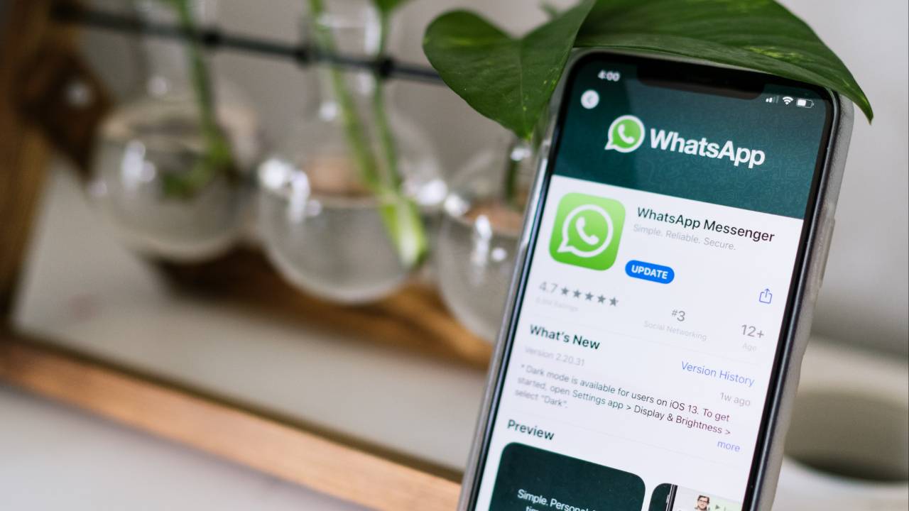 Mais popular do Brasil, aplicativo Whatsapp é base para disparo de mensagens