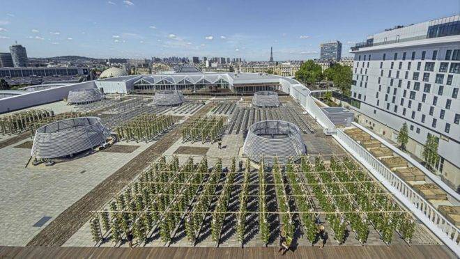Fazenda urbana em Paris tem 14 mil metros quadrados e produzira cerca de mil frutas e vegetais todos os dias.