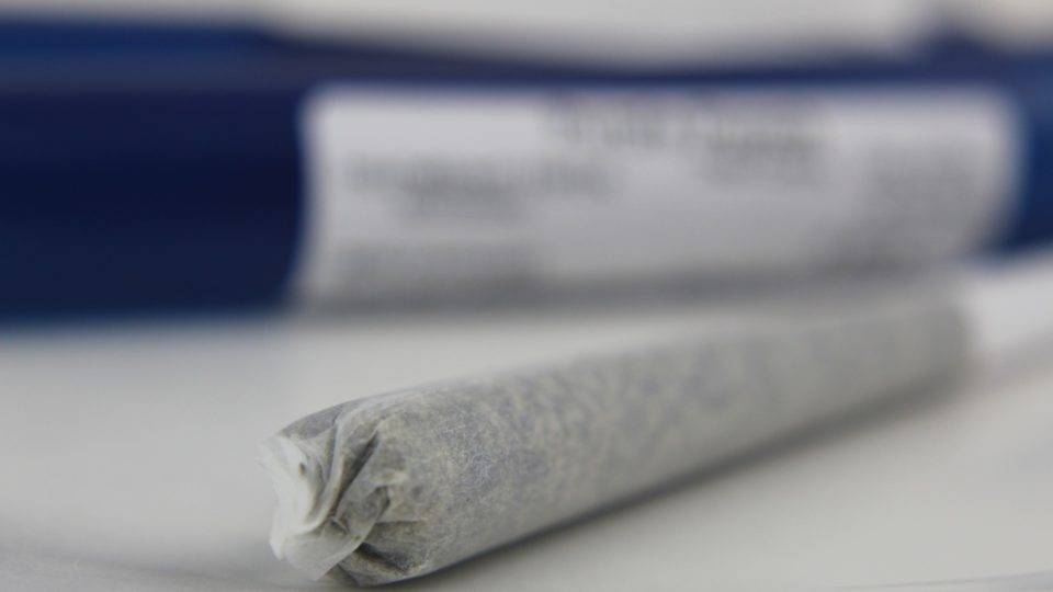 As manobras para legalizar a maconha no Brasil: o que não te contaram sobre o PL 399/2015 As manobras para legalizar a maconha no Brasil: o que não te contaram sobre o PL 399/2015