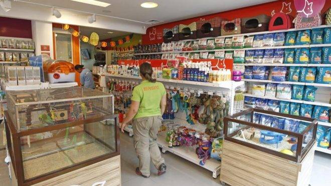 Projeto prevê que pet shops sejam obrigados a manter espaço para afixação de cartazes sobre adoção animal