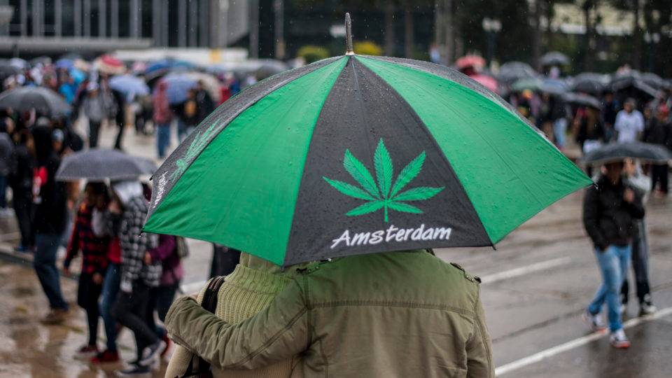 Autorizar o plantio de maconha? Brasil não precisa disso Marcha da maconha em Curitiba: projeto de lei no Congresso quer autorizar plantação de maconha no Brasil.