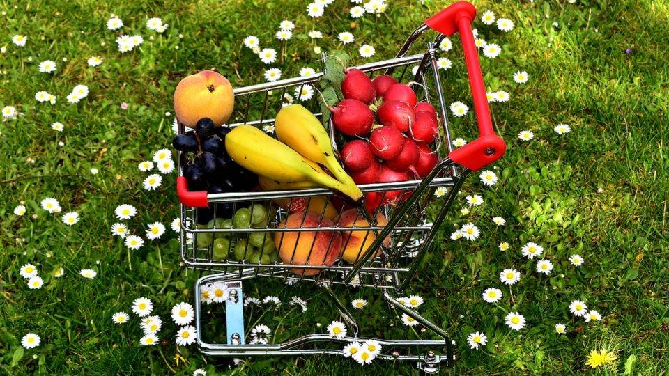 Consciência coletiva é apontada como uma das saídas para reduzir desperdício na cadeia produtiva da gastronomia Consciência coletiva é apontada como uma das saídas para reduzir desperdício na cadeia produtiva da gastronomia