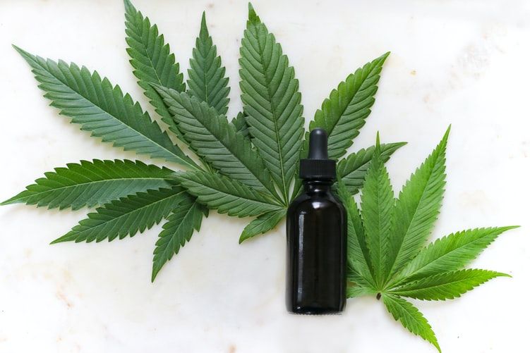 Deputados usam dramas de pacientes para legalizar maconha, diz secretário de Bolsonaro Projeto libera cultivo da maconha no Brasil