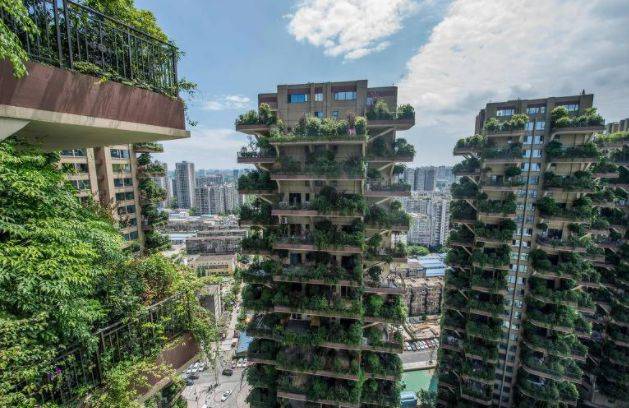 Complexo de edifícios é “invadido” por plantas na China; entenda o motivo e saiba como evitar Foto: STR/AFP